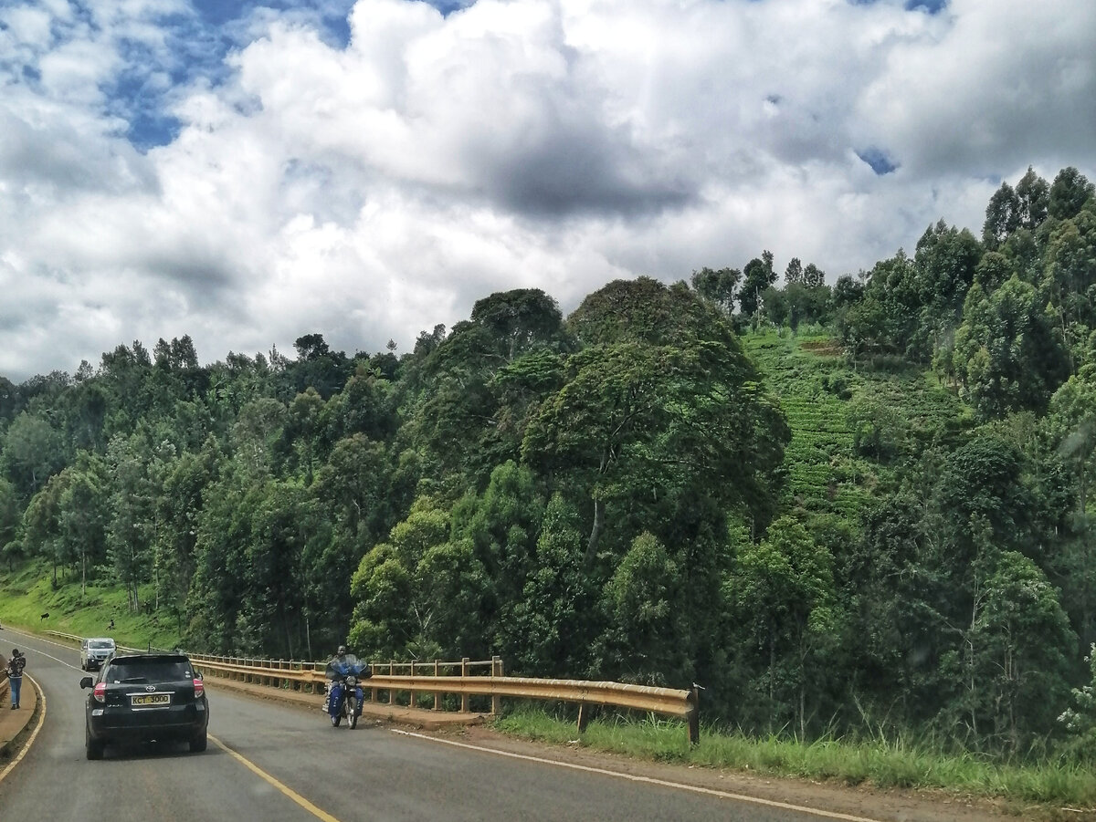 Огороды на склонах горы. Кикую занимались и занимаются сельским хозяйством