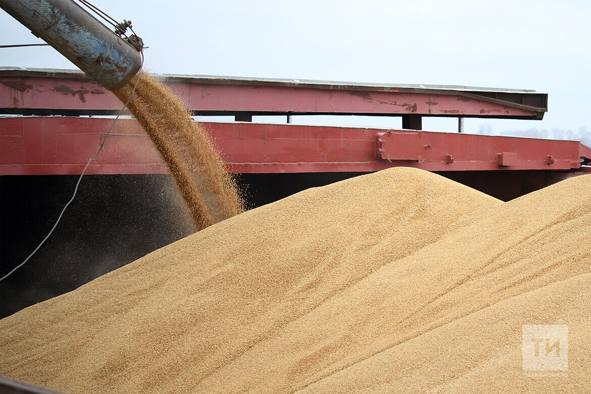 ​Зерновая сделка предполагала создание безопасного коридора для вывоза украинского зерна и снятие ограничений на экспорт российских удобрений. Фото: © Михаил Захаров / «Татар-информ»