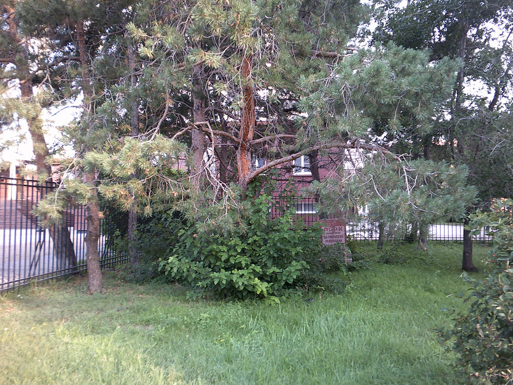 Ночной останкинский парк. Toshimaen haunted park. Парк с привидениями 2019. Акармара город-призрак в абхазии. Toshimaen haunted park.