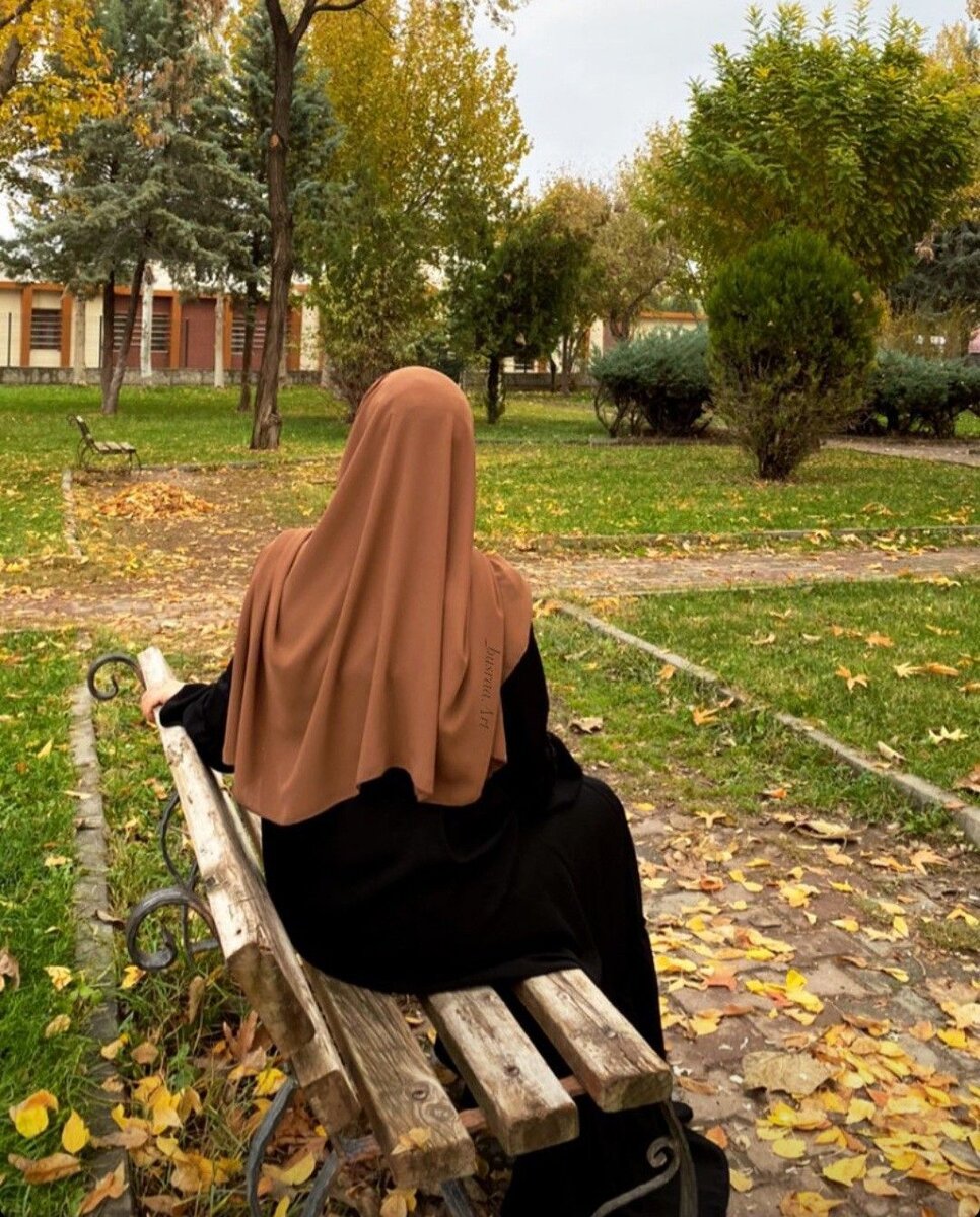 Фото из открытых источников.