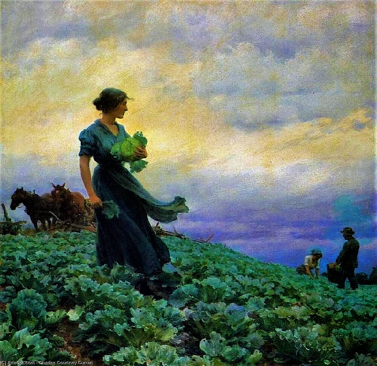                    Картинка из источника в свободном доступе. На колхозном поле.