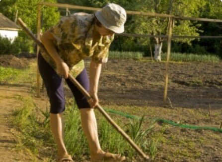 7 неотложных дел августа на даче ( памятка)