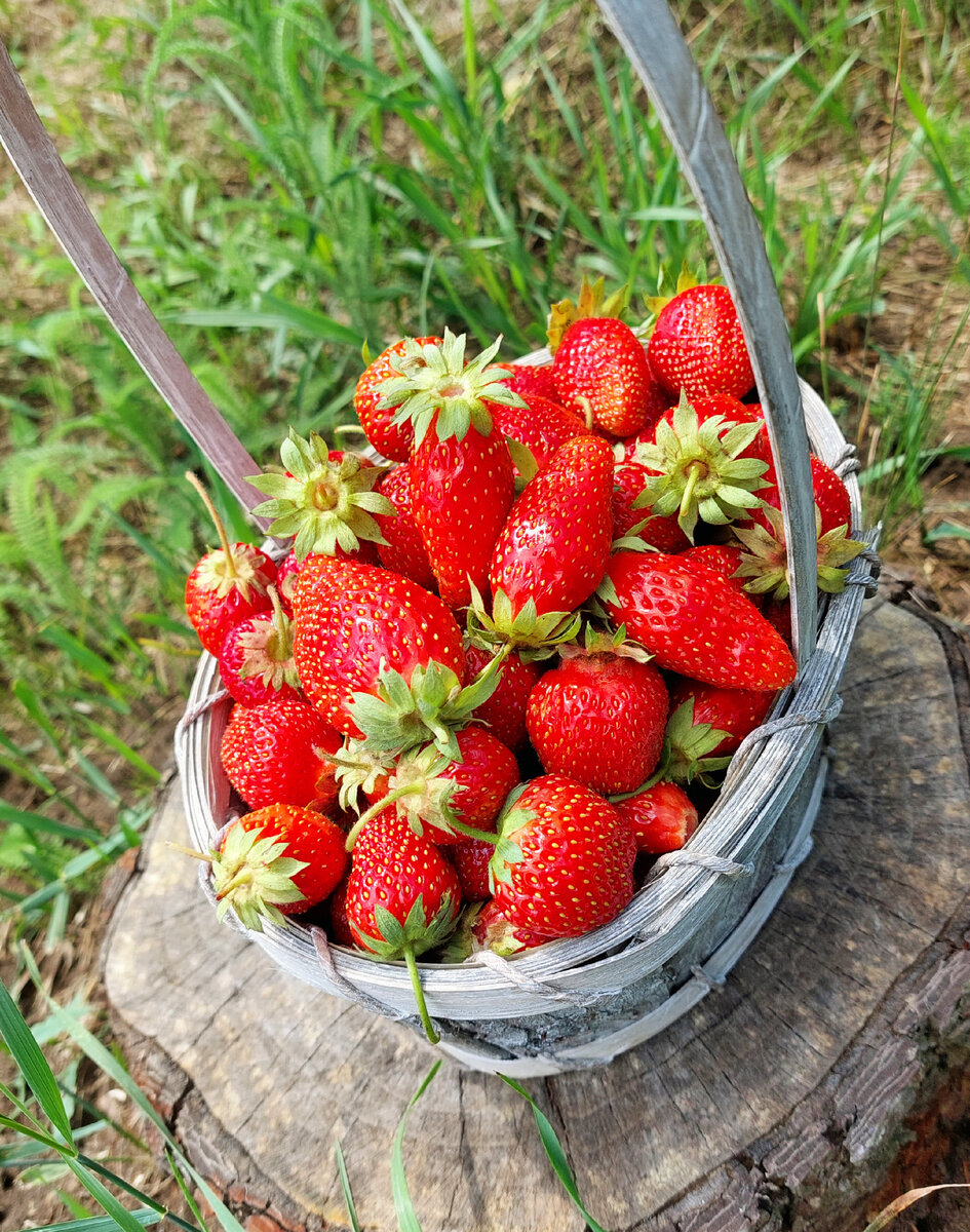 Из личного фотоархива Sw. Sein