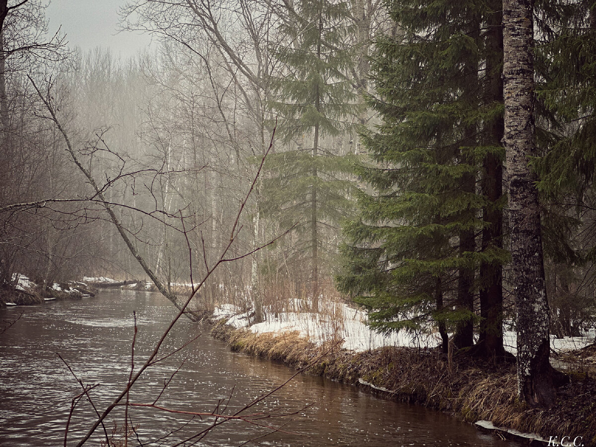 Холодная река Ленинградская область (мой архив)