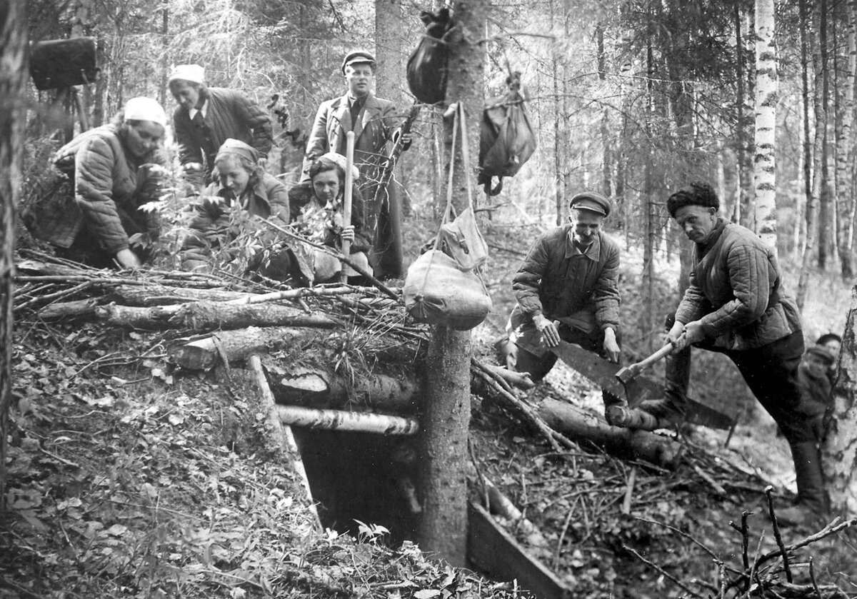 Брянский лес. Партизанская землянка. Партизанская землянка 1941. Брянском лесу Партизанский отряд Фрунзе. Быт великой отечественной