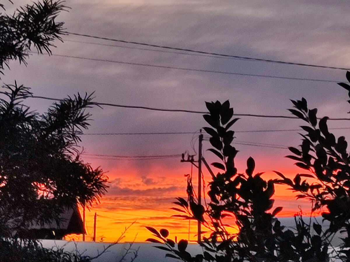 Все фото автора 