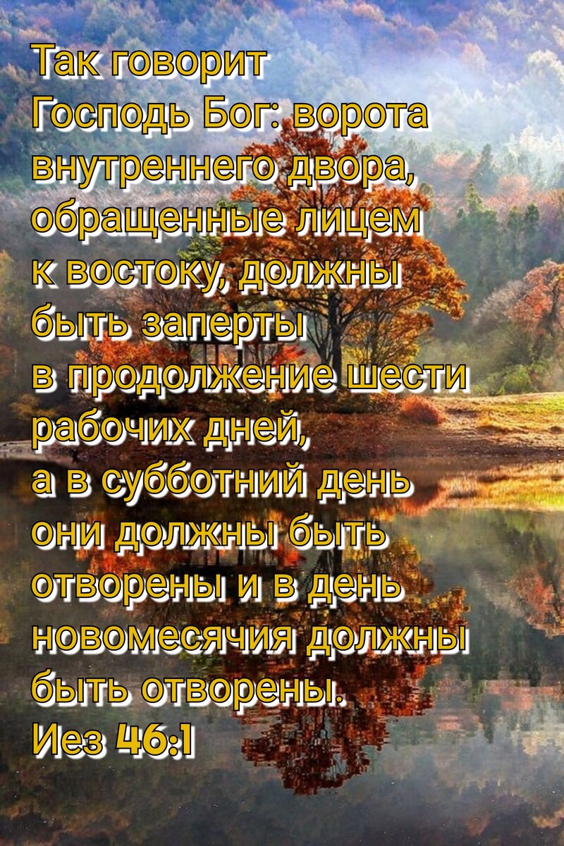 34 идеи для свадьбы в стиле Рустик