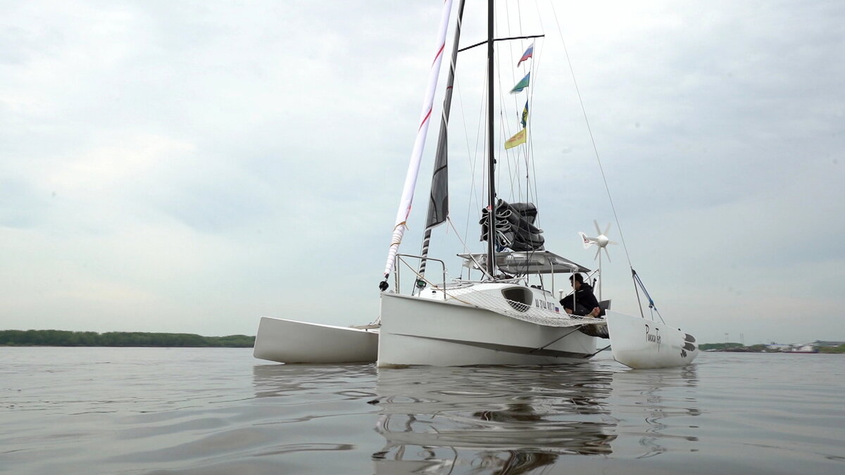    Дикие морские животные сопровождали «Зелёную экспедицию» из Югры