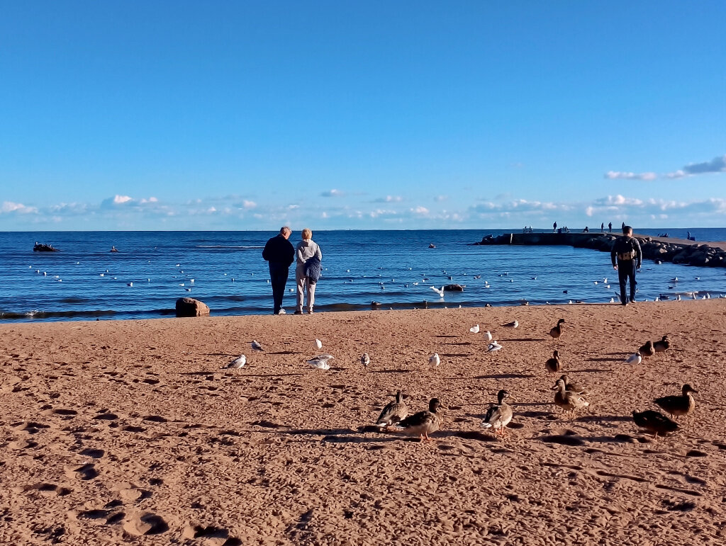 Фото: iatochka.news