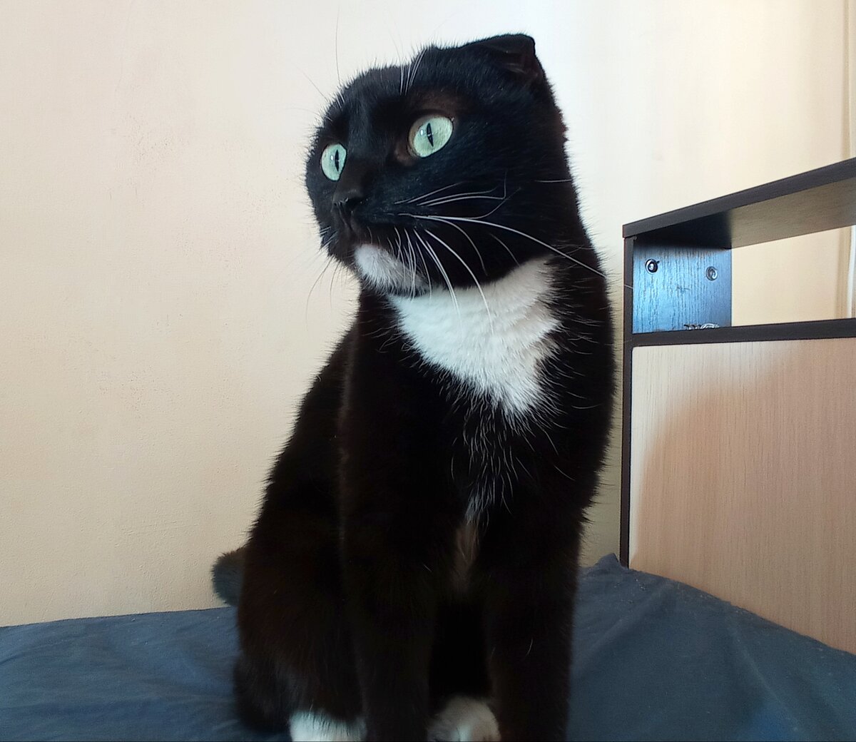 Сурен, принимает ваши комплименты