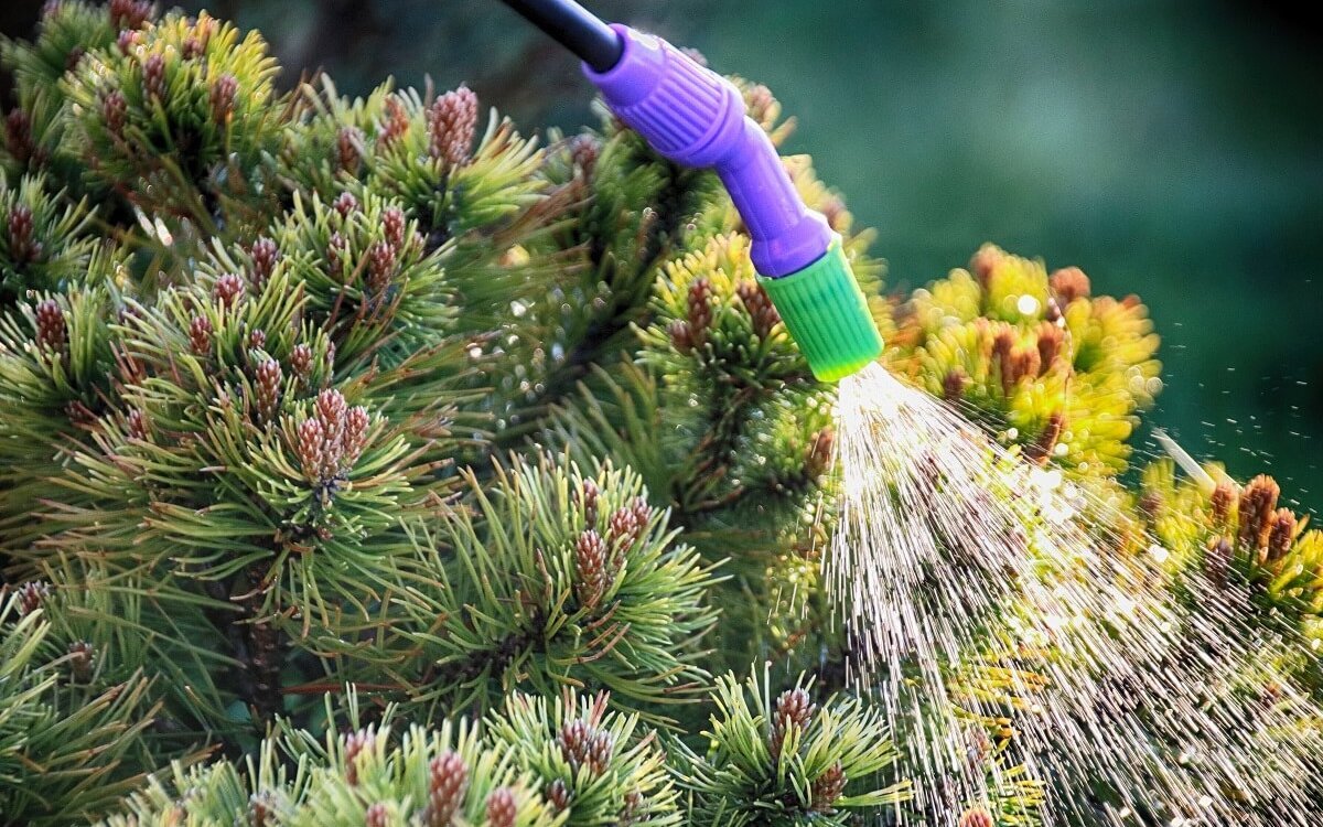 Подготовка сада к зимовке, уход за садом от Студии ART Story