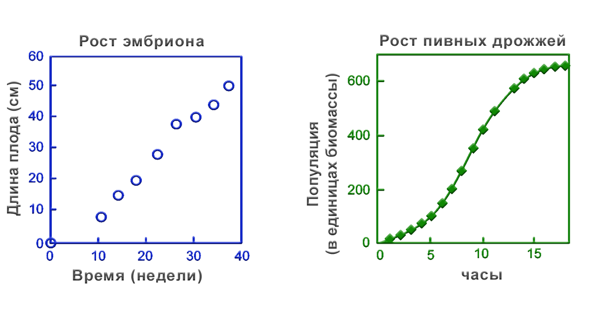 Ученые выяснили, почему с возрастом время летит быстрее. 30 сентября г. Кубанские новости