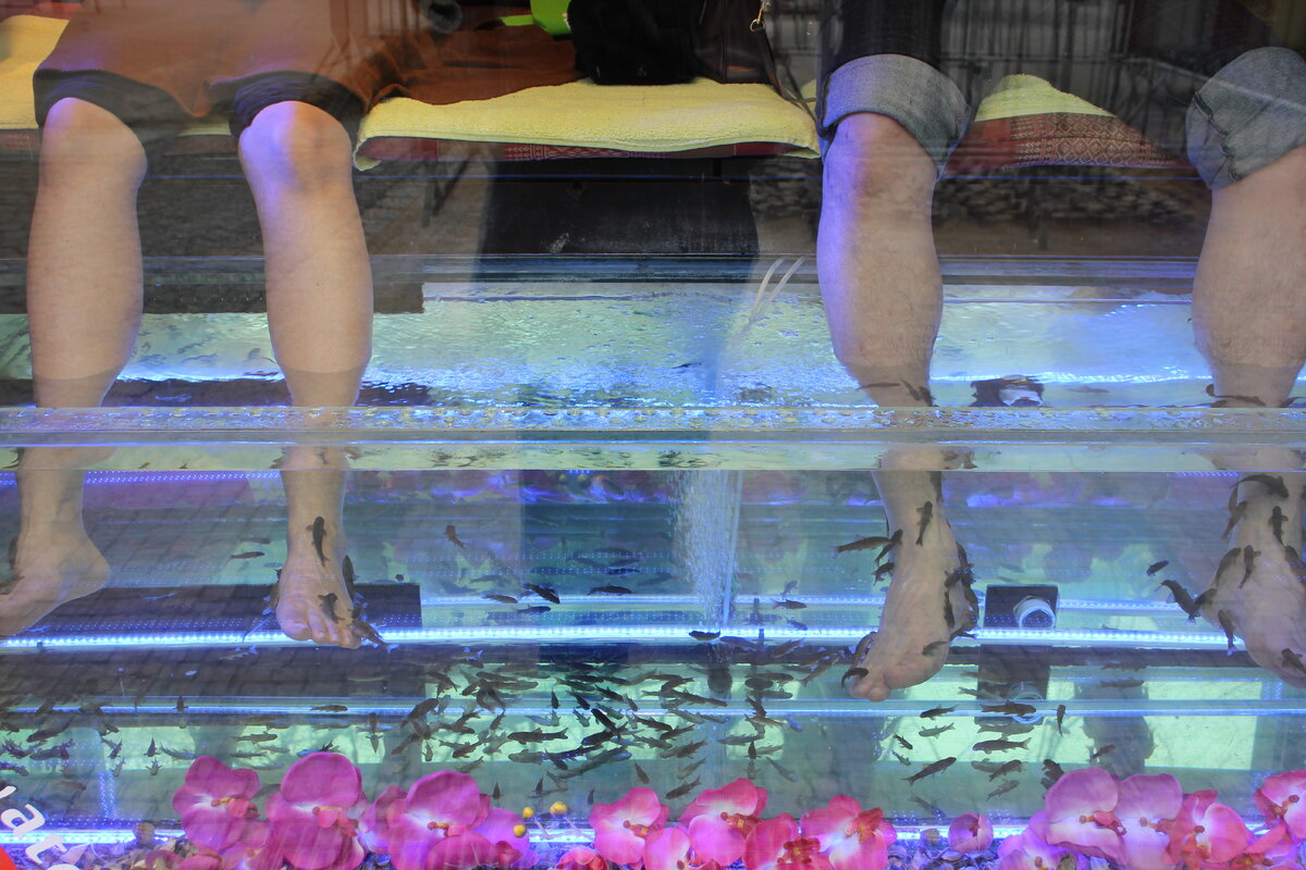 почти как в зоопарке!