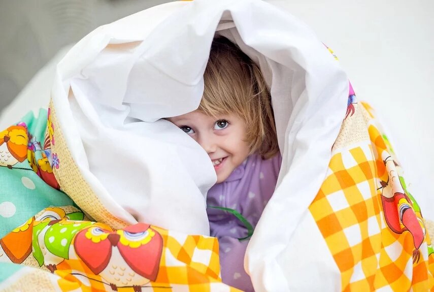  Фото: pixabay.com  