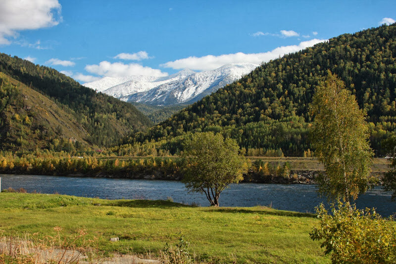 Черемушки красноярский край