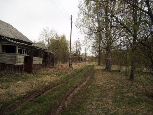 В заброшенной деревне репрессированных \ Мёртвая красота