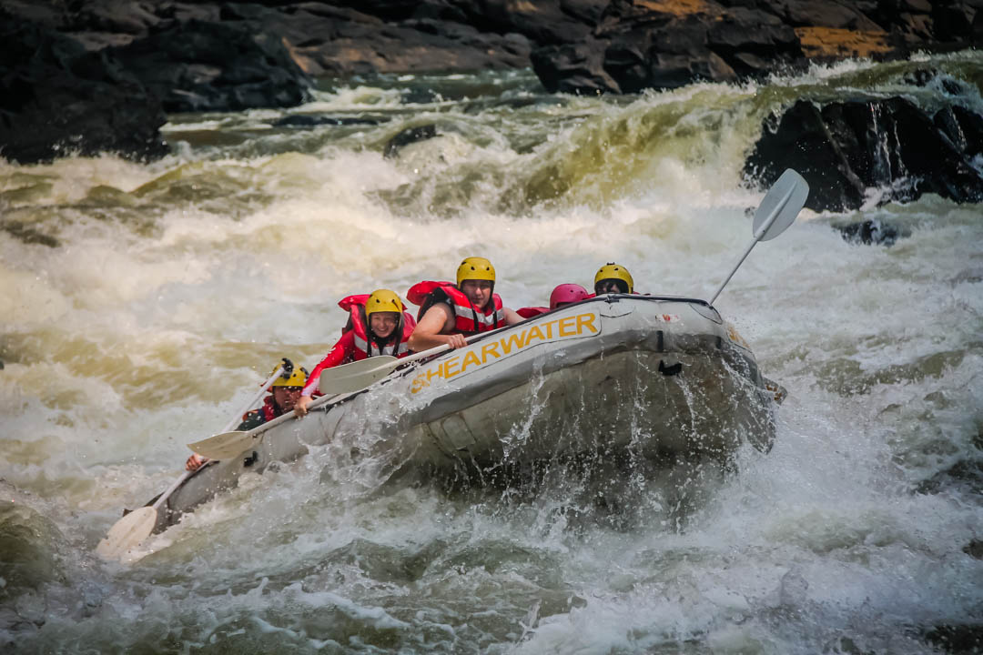 фото взято из открытого источника