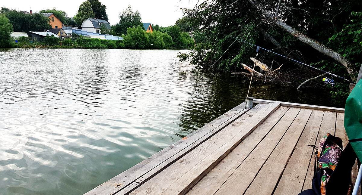 Удобный мостик,  тенек от кроны дерева - что может быть лучше в жаркий день