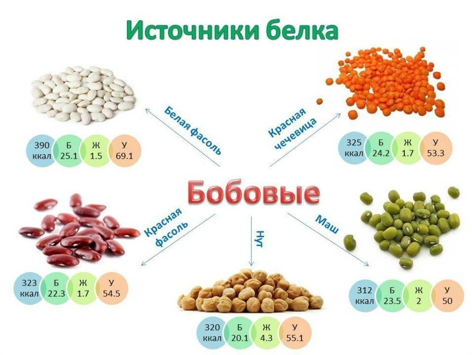 Источник:  http://sportguardian.ru 