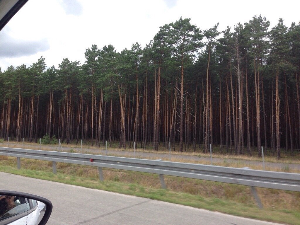Такой вид из вашего авто будет на протяжении некщторых скоростных трасс