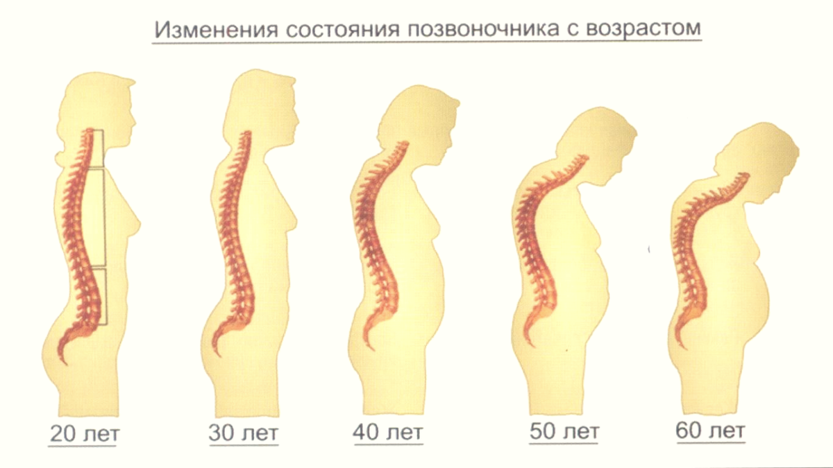 Изменения в организме после 40