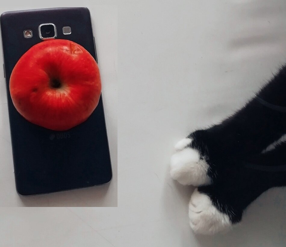  мой старый самсунг, который я храню как запасной, яблоко и лапки кота