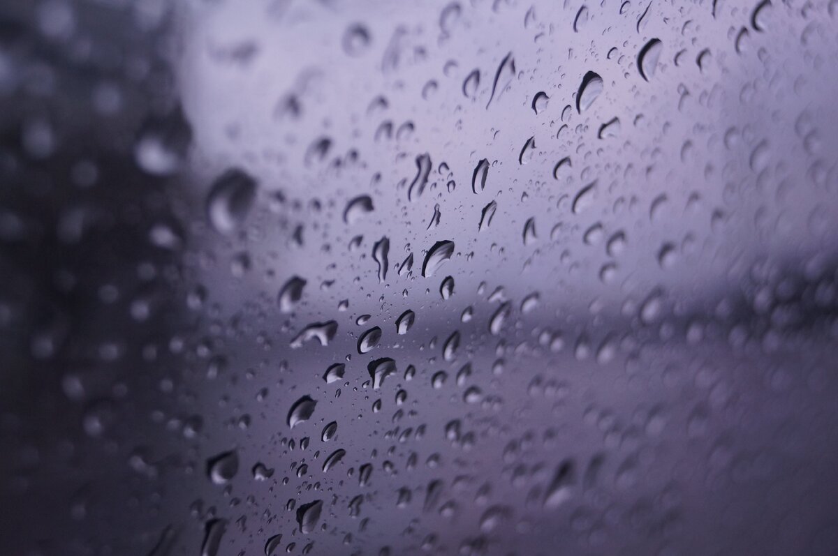 Собственное фото