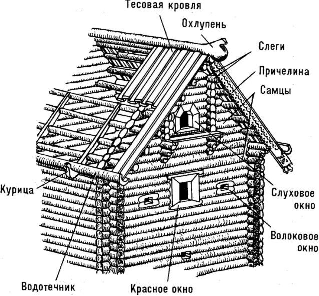 Человек и город. Что такое мурал и как им украсить свой дом