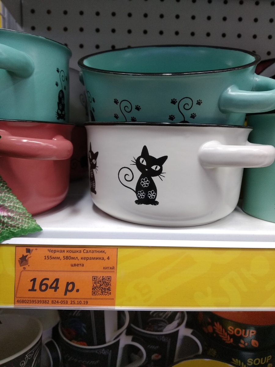 черные котята