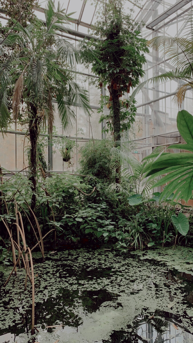 Тропический зал в саду 