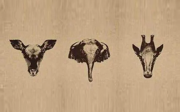 Картинка взята из общего доступа