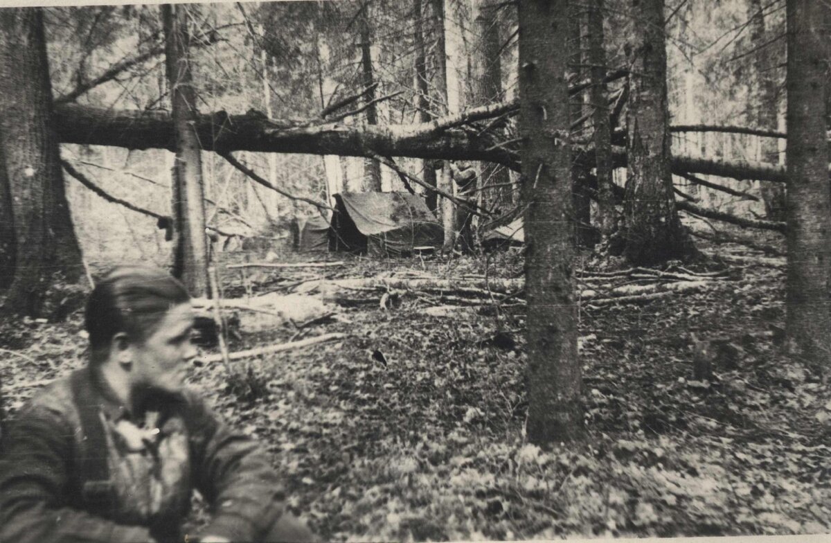 "Каменный лагерь" 11 Волховской партизанской бригады 1943 г. Район болота Веретинский мох