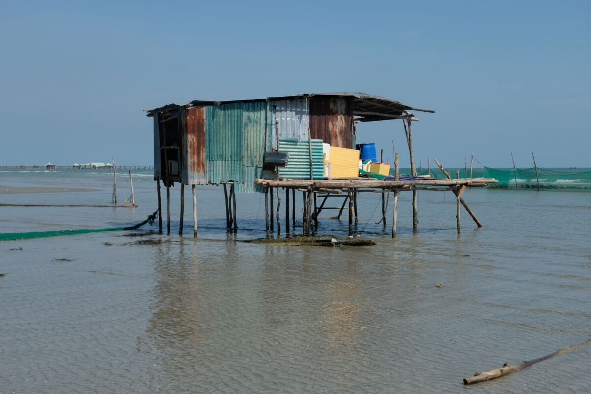 Сходила в домик в море к вьетнамским рыбакам и узнала кого они ловят странными вертикальными сетями