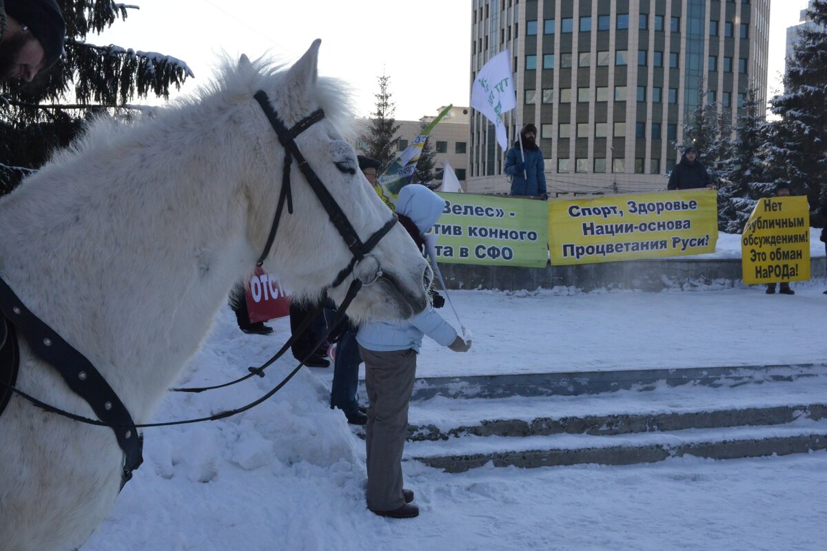 11 февраля, Новосибирск