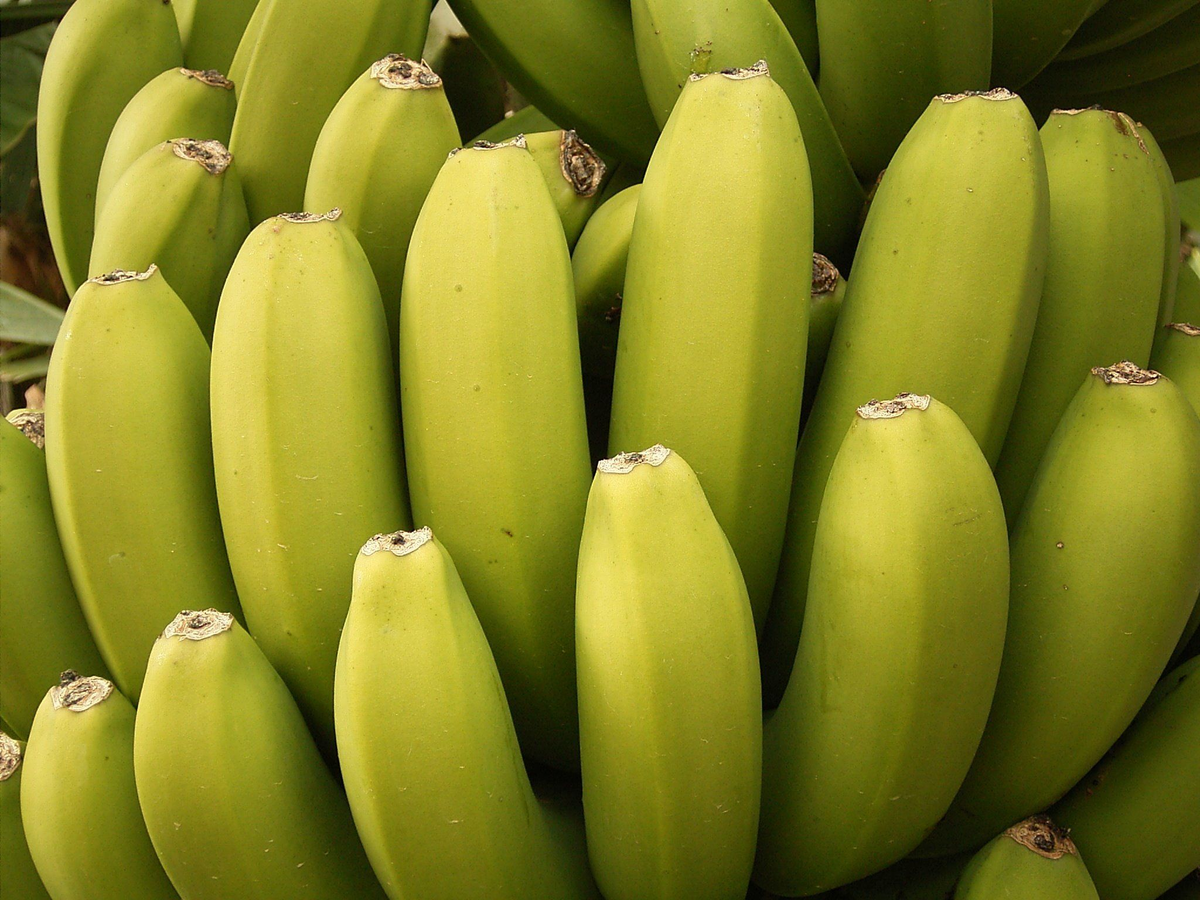 я люблю бананы потомучто они очень вкусные и полезные,в них очень много витаминов,я после тяжёлой травмы благодаря им востановился и похудел на 28кг