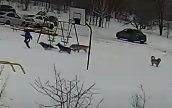 Фото: Вконтакте