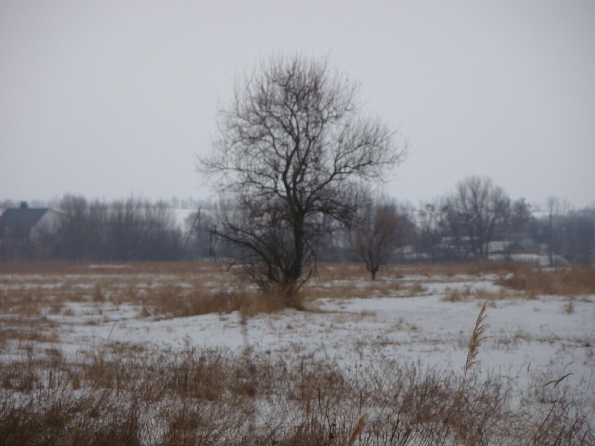 Вид на село со стороны остановки. 