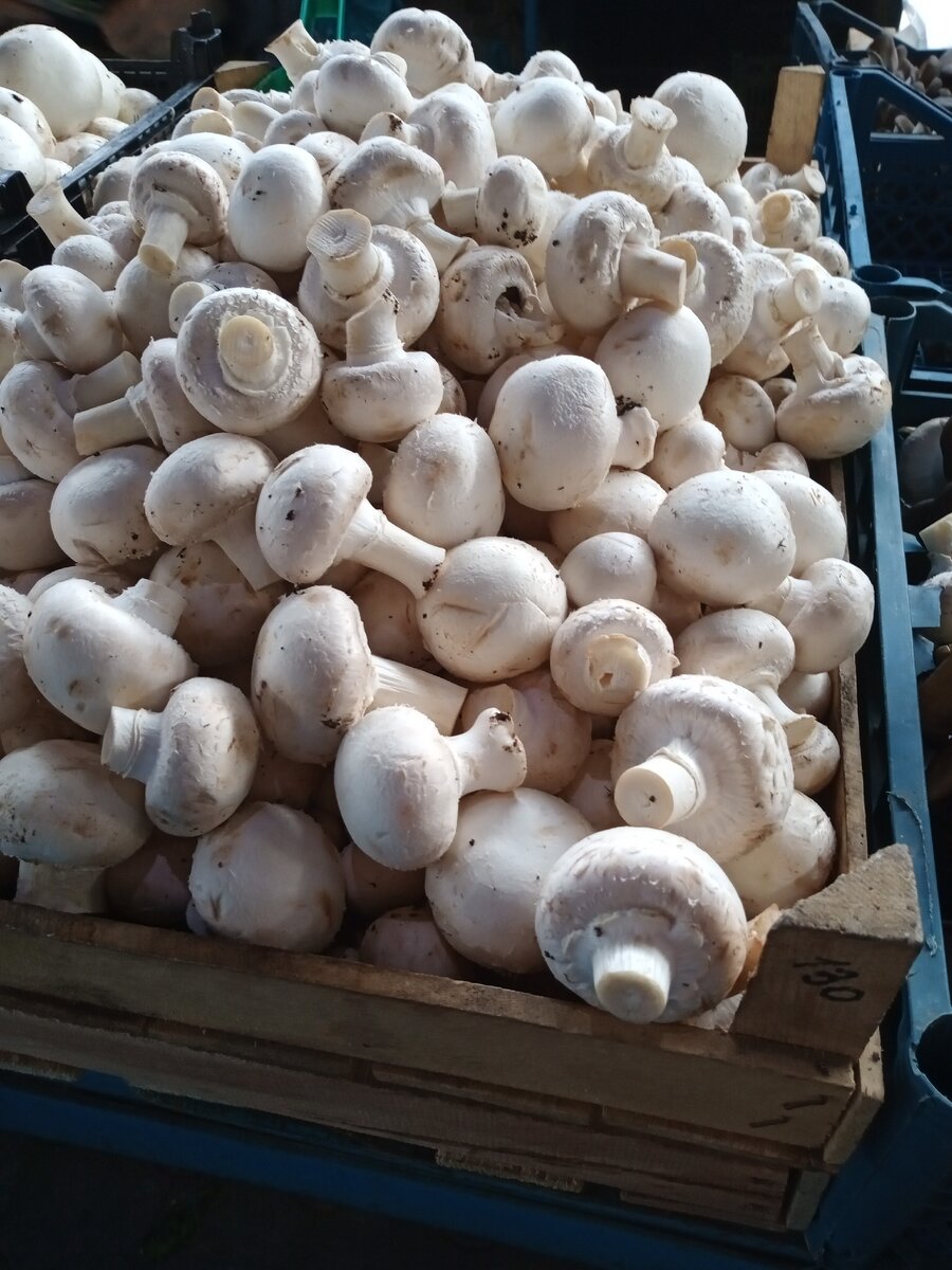 все фото из личного архива