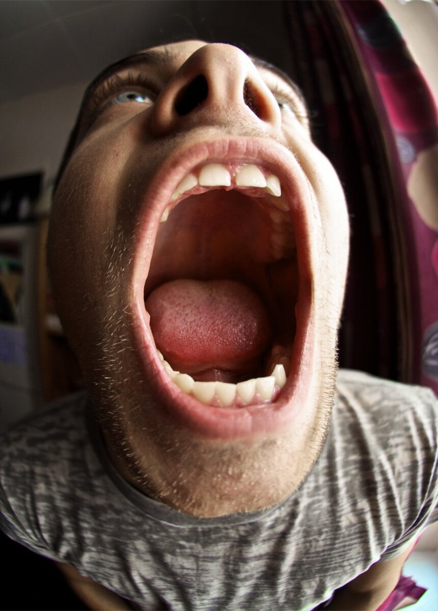 Фото использовано в качестве иллюстрации. Источник: Яндекс Картинки