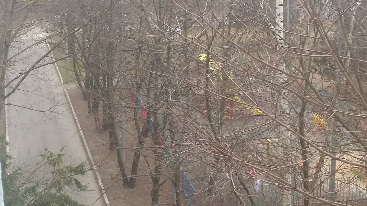 Фото автора.