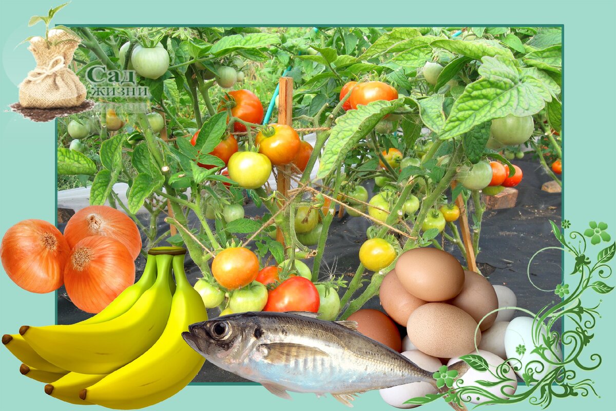 Удобрения в лунку