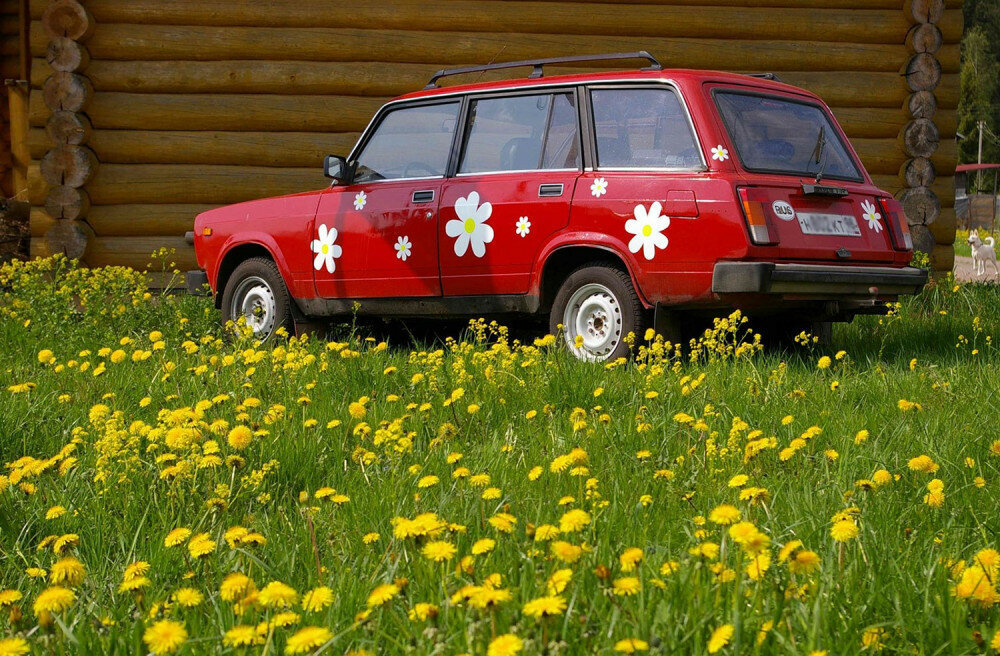 Пока на дачу в Подмосковье ездить можно. Но ситуация быстро меняется