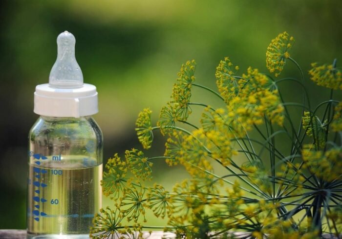 Отвар укропа дают даже новорожденным