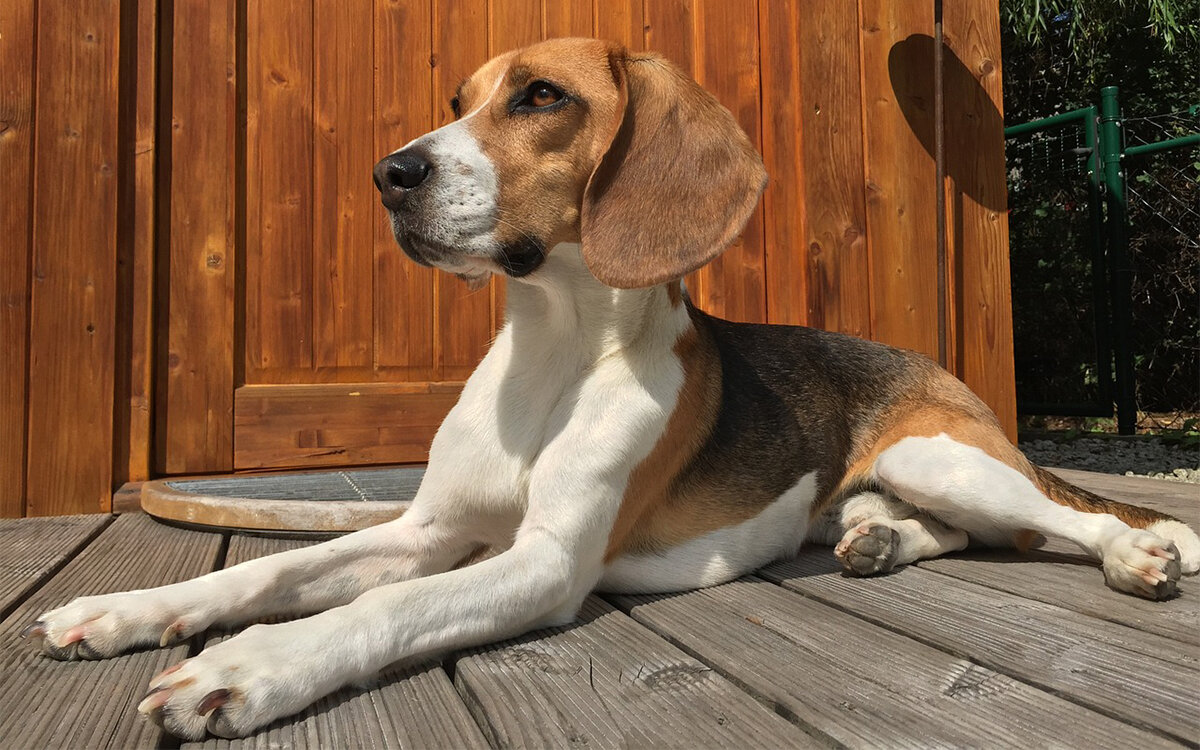 Рассказ "Я-подарок". Перепечатка только с письменного согласия автора.