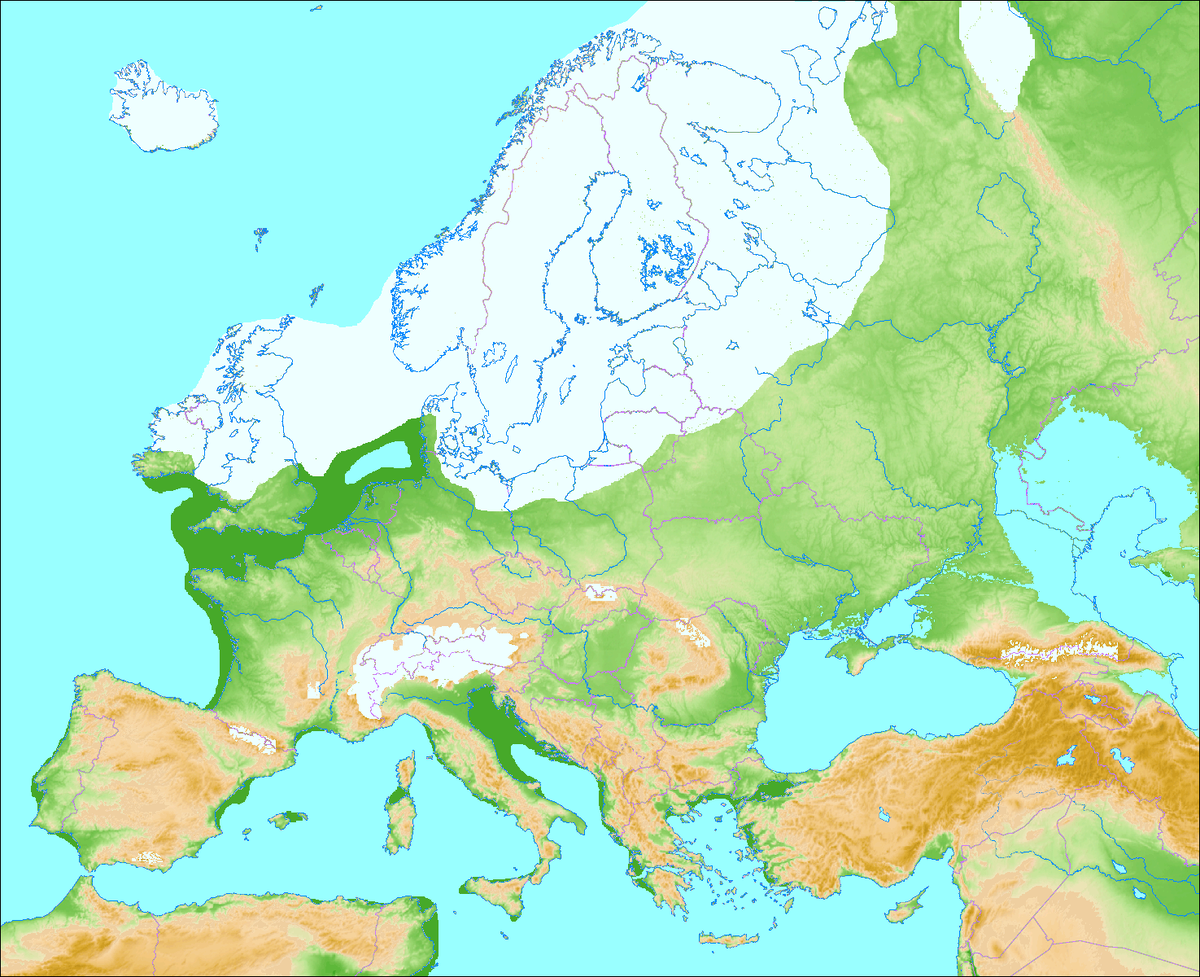 Карта оледенения Европы 10 000 лет назад