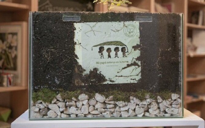 Книга, которую можно посадить и вырастить деревце Хакаранду