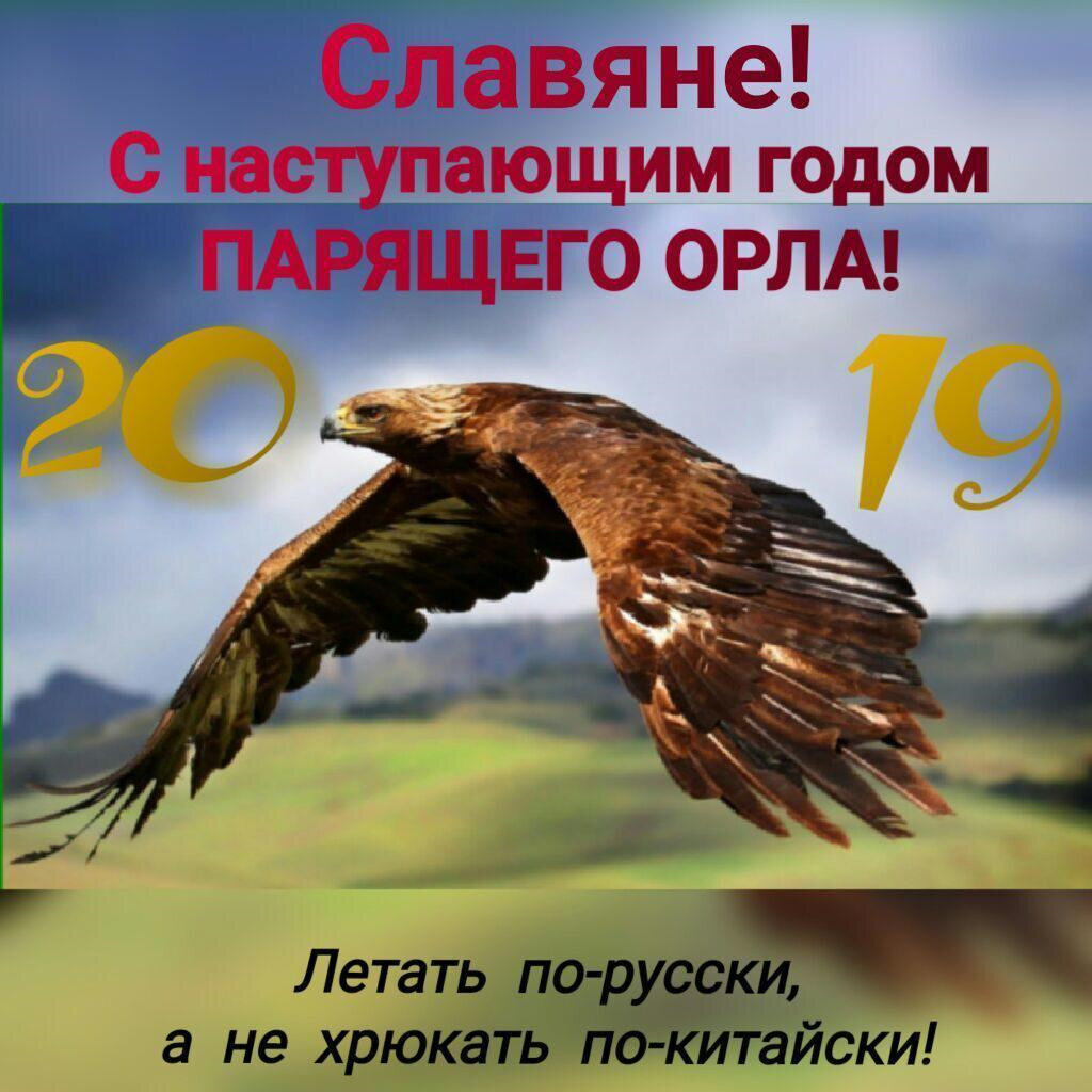 А вот и их бред.