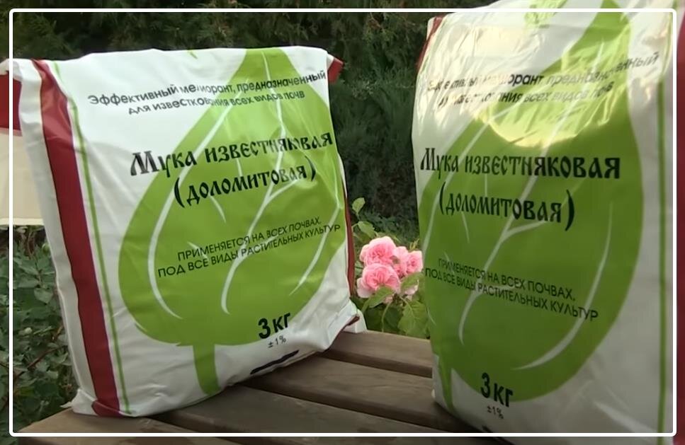 Доломитовая мука для гортензии. Клематис подкормка. Доломитовая мука применение весной. Удобрение для клематиса для пышного цветения. Мука известняковая доломитовая.