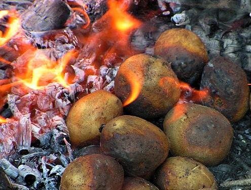 Фото из открытых источников