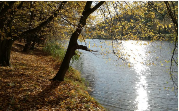 Участок №9 на Бероунце, прекрасное место как для рыбалке так и для отдыха